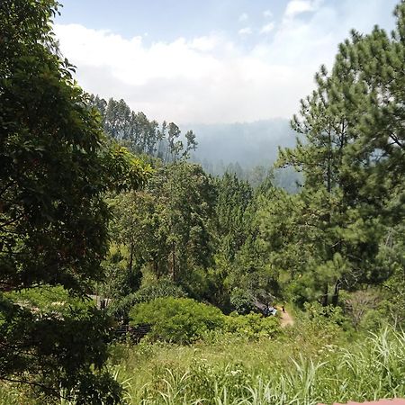 New Rose Villa Bandarawela Ella Exteriér fotografie