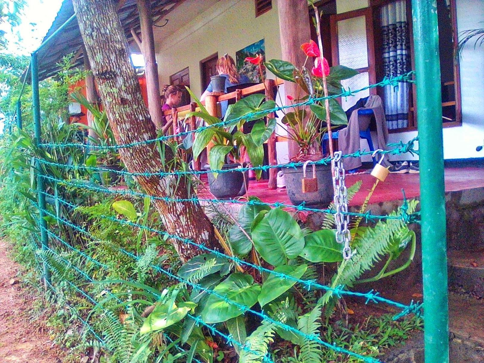 New Rose Villa Bandarawela Ella Exteriér fotografie