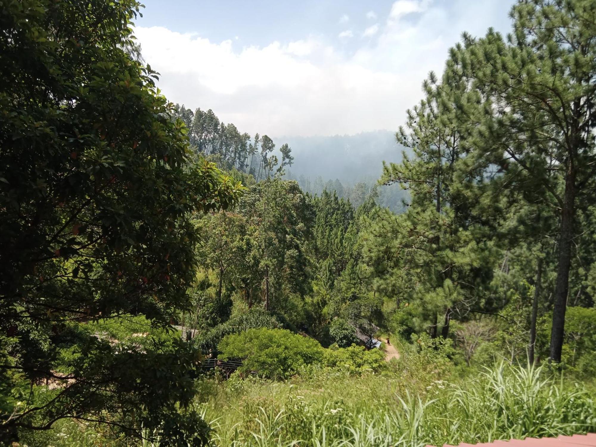New Rose Villa Bandarawela Ella Exteriér fotografie