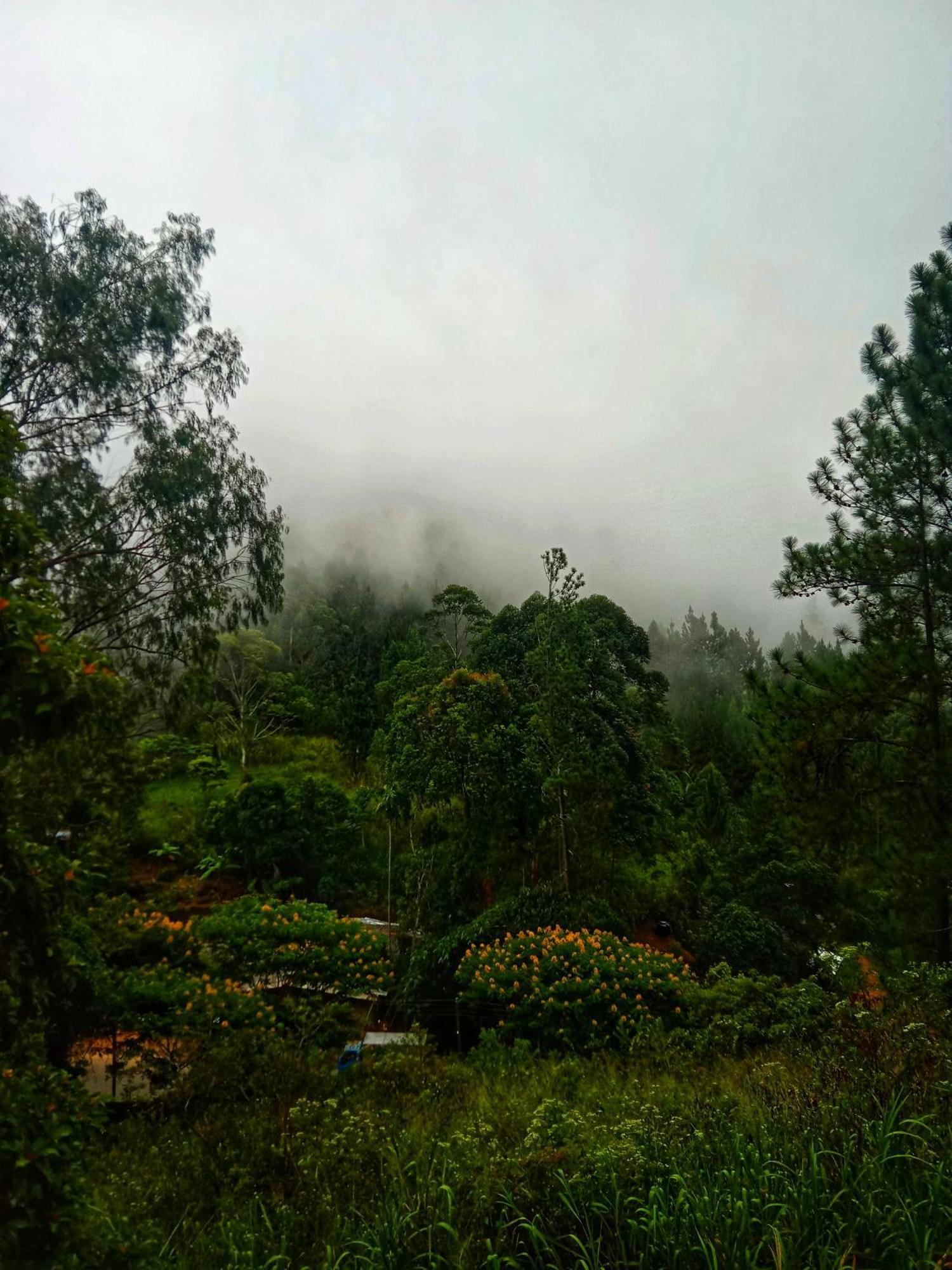 New Rose Villa Bandarawela Ella Exteriér fotografie