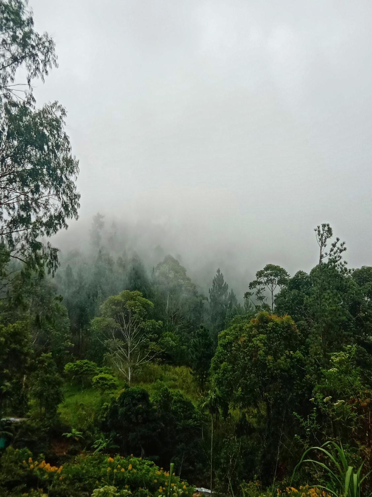 New Rose Villa Bandarawela Ella Exteriér fotografie