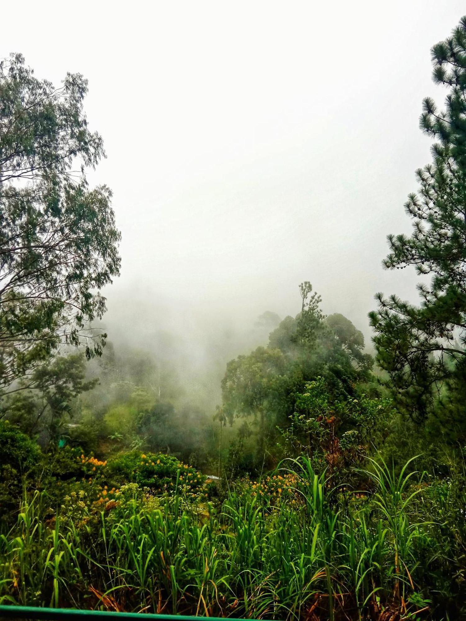 New Rose Villa Bandarawela Ella Exteriér fotografie