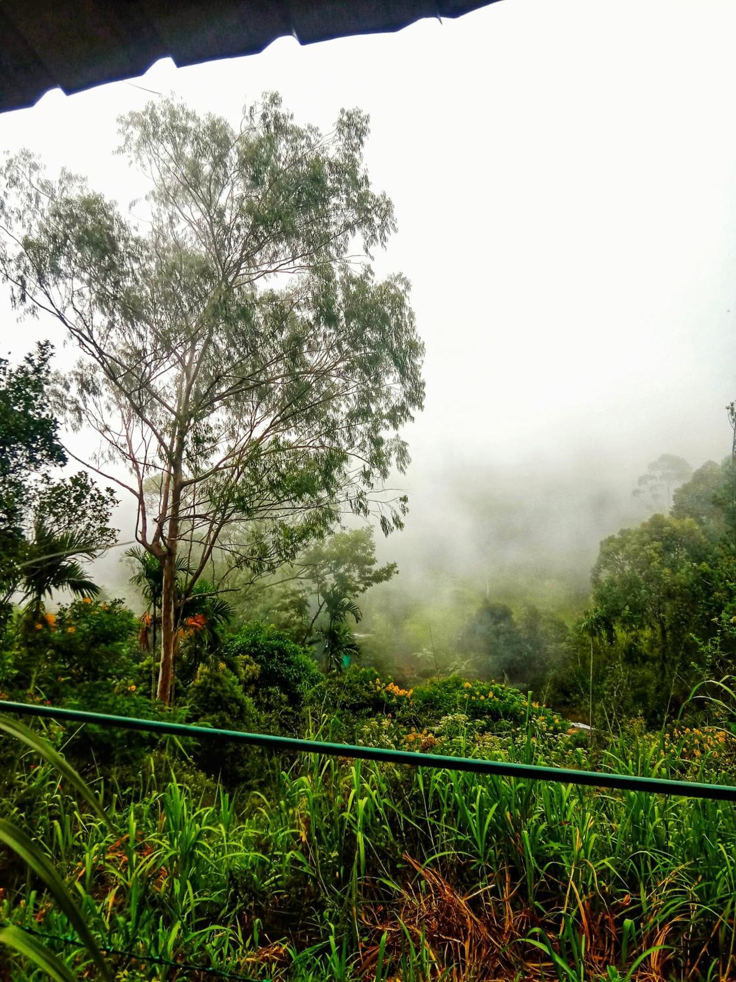 New Rose Villa Bandarawela Ella Exteriér fotografie