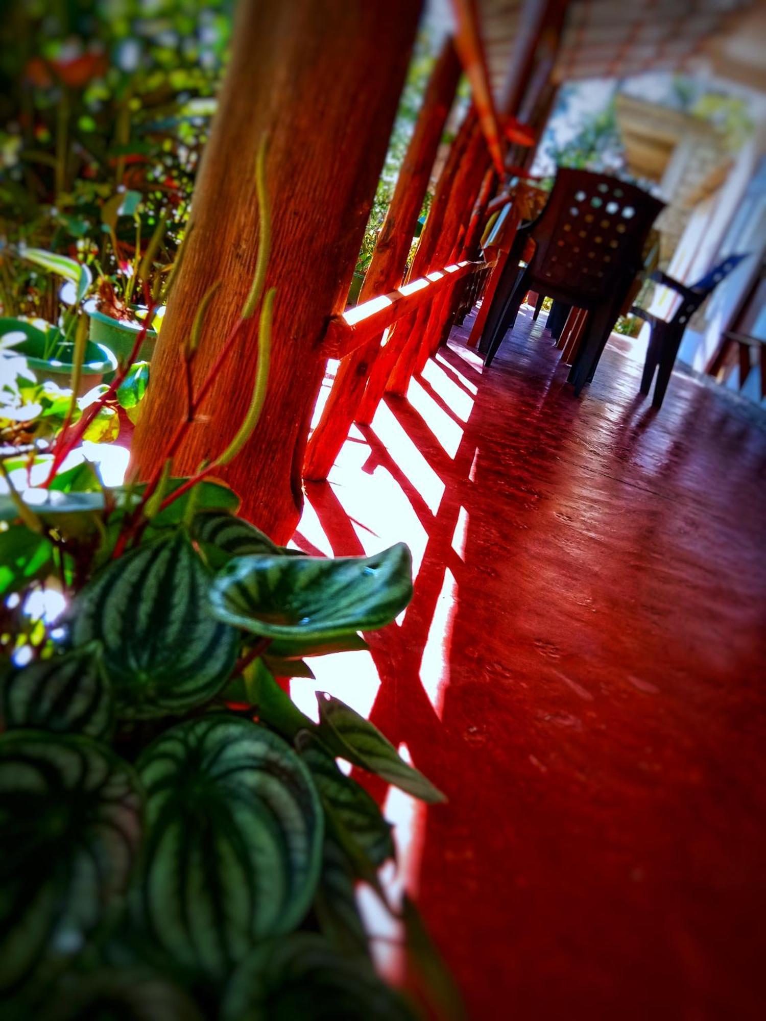New Rose Villa Bandarawela Ella Exteriér fotografie