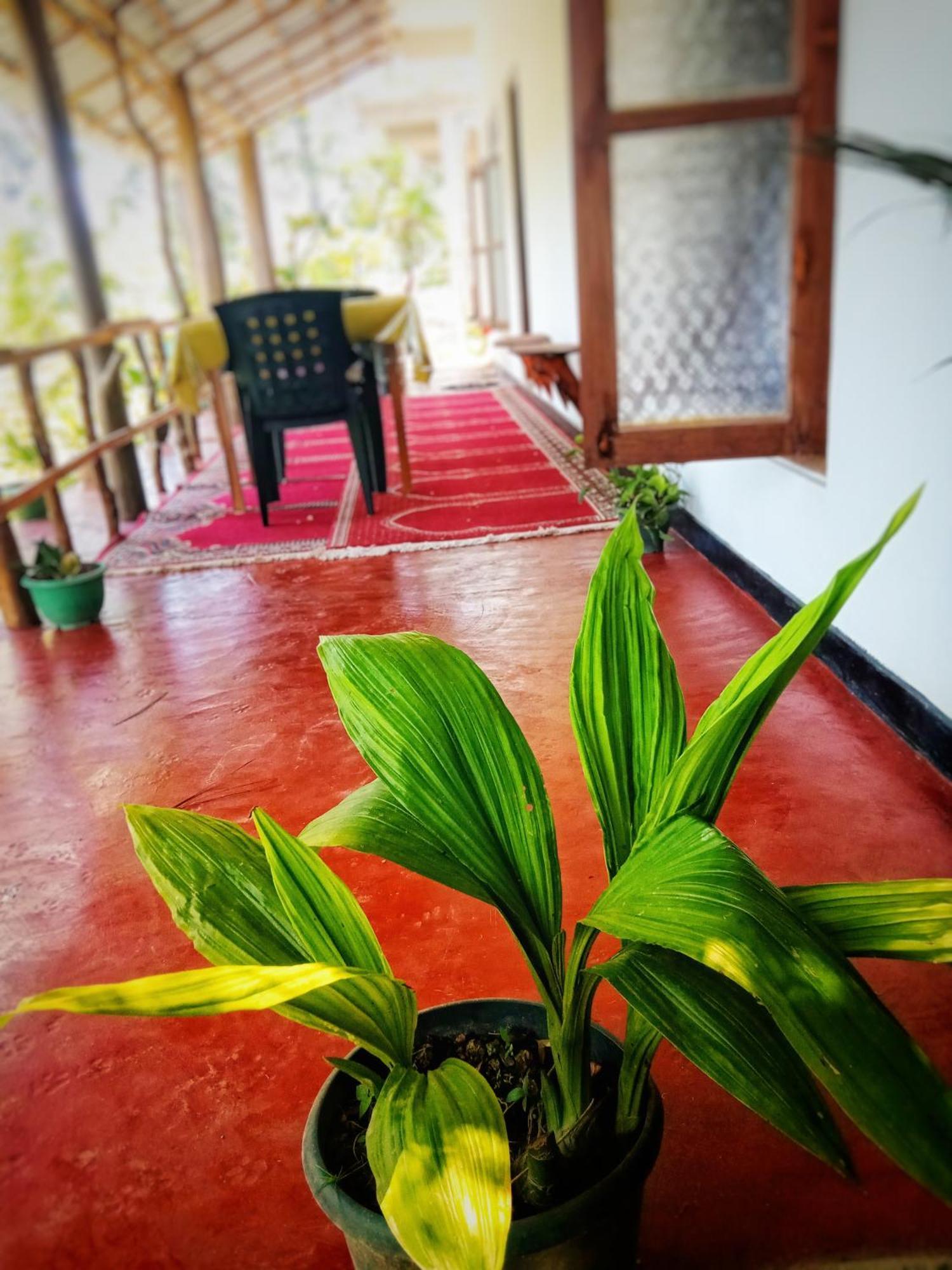 New Rose Villa Bandarawela Ella Exteriér fotografie