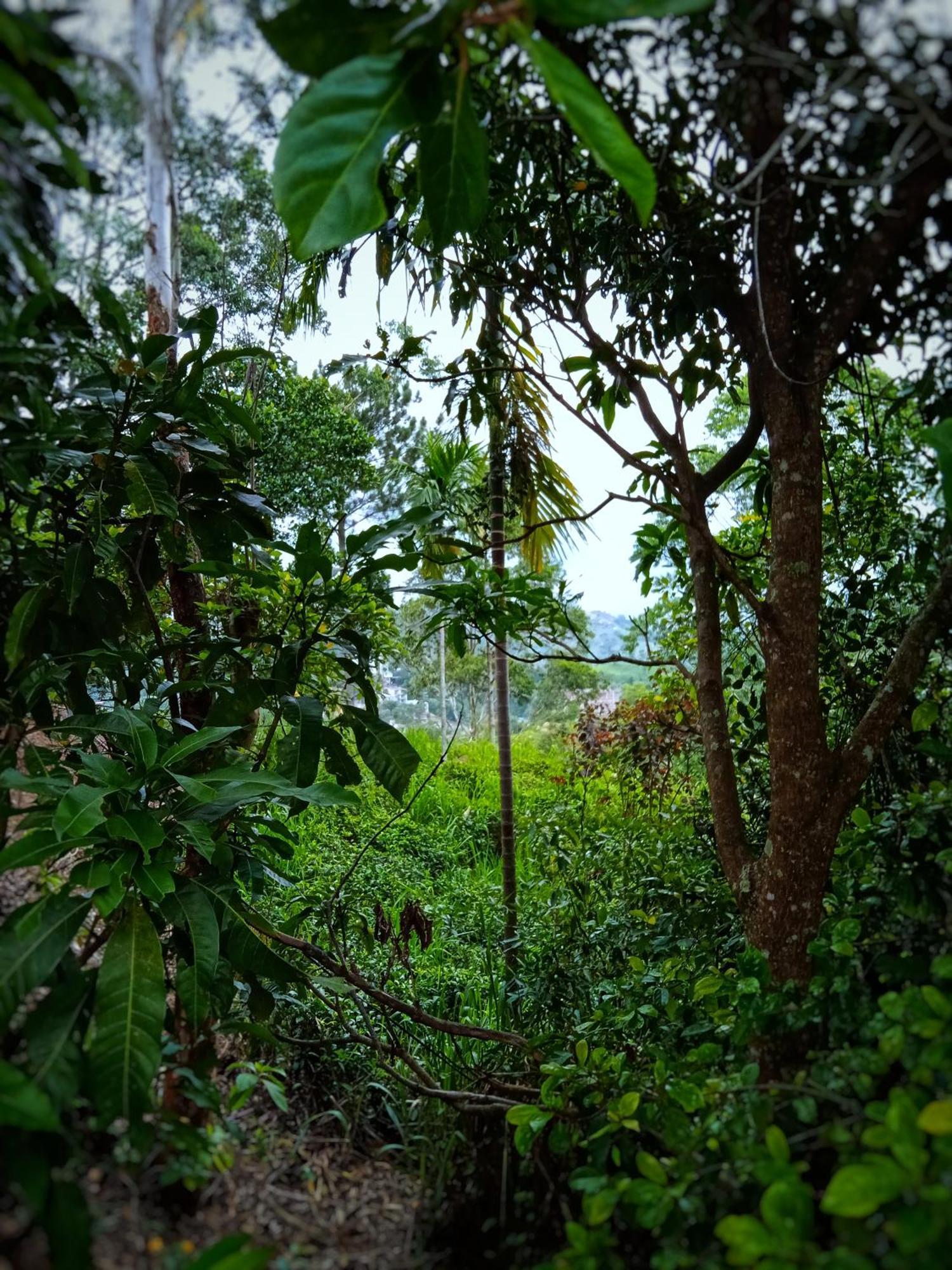 New Rose Villa Bandarawela Ella Exteriér fotografie