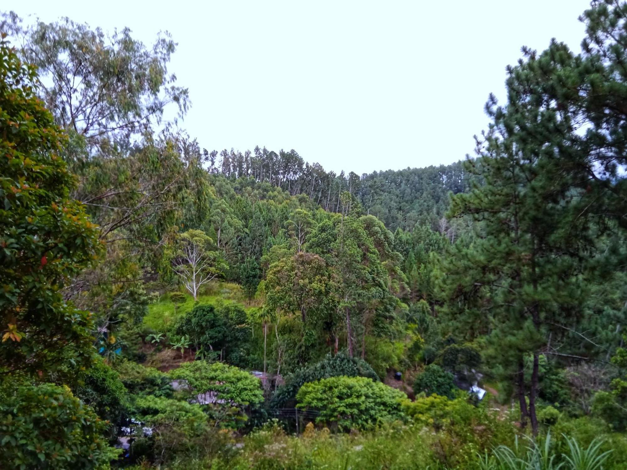 New Rose Villa Bandarawela Ella Exteriér fotografie