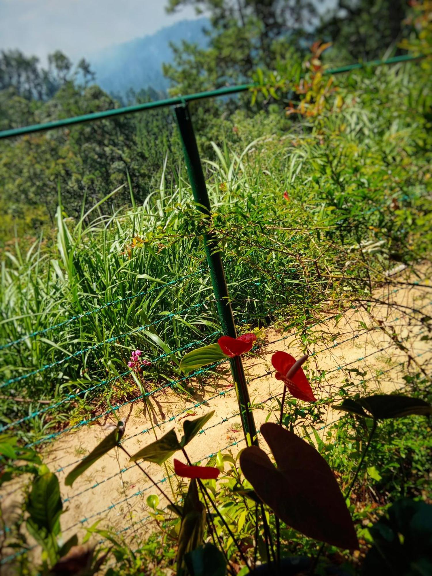 New Rose Villa Bandarawela Ella Exteriér fotografie