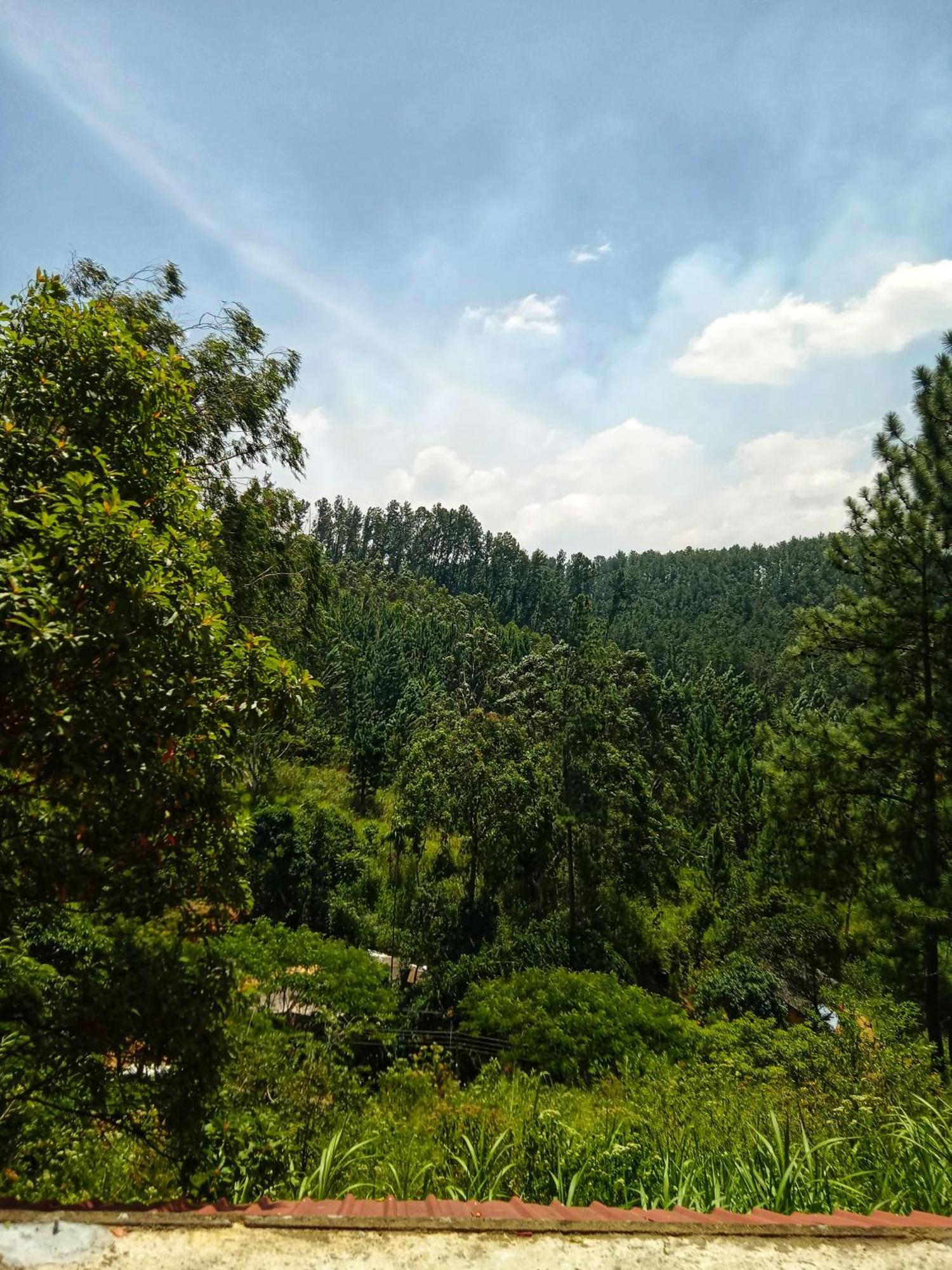New Rose Villa Bandarawela Ella Exteriér fotografie